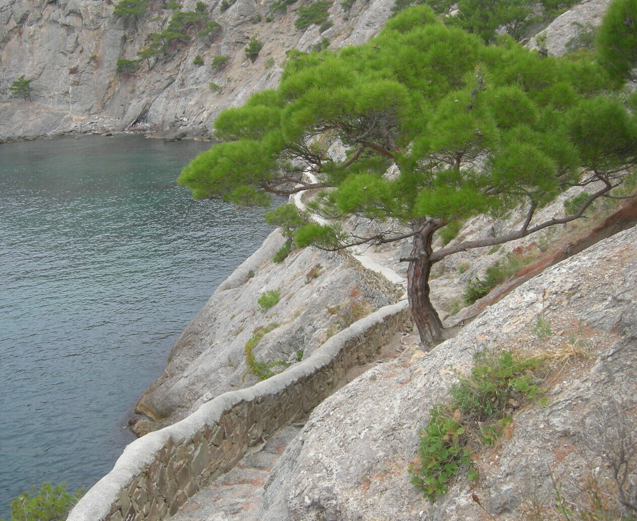 Вырубленная тропа в скале Голицынская тропа Крым